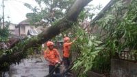 angin kencang bogor