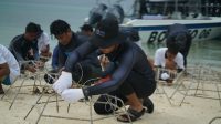 Kegiatan Kelompok Maratua Peduli Lingkungan.