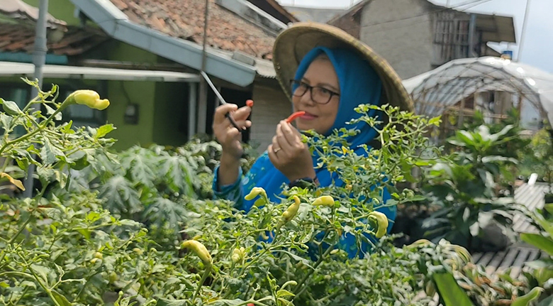 BRInita Urban Farming