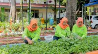 BRI - BRInita BRINita Kelompok Tani