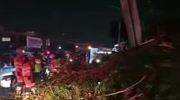 pohon tumbang tewas tertimpa pohon bogor