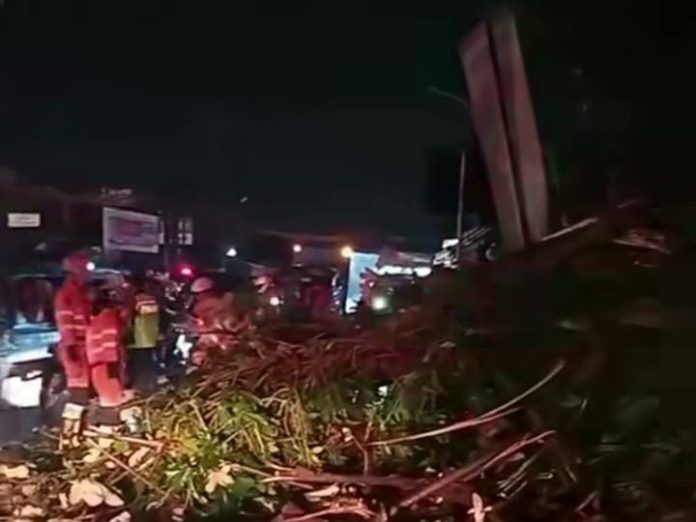 tewas tertimpa pohon bogor