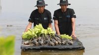 BRI upaya nyata lahan kritis